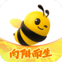 盘点关注度最高的六大佳丽，眼镜妹占据榜首
